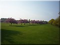 SE3054 : Cherry Tree Walk from the railway bridge by DS Pugh