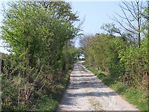  : Track above Gayles by David Martin