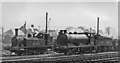 NS7994 : Locomotives in the yard of Stirling (Shore Road, LNER) Depot by Ben Brooksbank