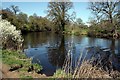 SJ4161 : Riverside Walk near Eccleston by Jeff Buck