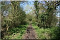 SJ4160 : Riverside walk on the River Dee by Jeff Buck