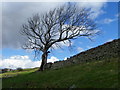 NY9804 : Drystone wall near Whaw by Maigheach-gheal