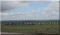  : Military tracks on Salisbury Plain by Caroline Maynard