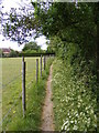 TM3055 : Footpath to Church Terrace by Geographer