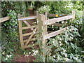 TM3055 : Kissing Gate on the footpath to Church Terrace by Geographer