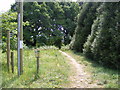 TM2446 : Footpath to the A12 Martlesham Bypass over Martlesham Heath by Geographer