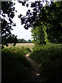 TM2446 : Footpath to the A12 Martlesham Bypass over Martlesham Heath by Geographer