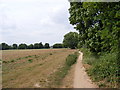 TM2446 : Footpath to the A12 over Martlesham Heath by Geographer