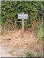 TM2855 : Thorpe Hall Farm sign by Geographer