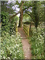 TM3154 : Footbridge on the Footpath to Loudham Hall Road by Geographer