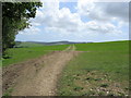 SU9415 : Emerging onto Littleton Down by Chris Heaton