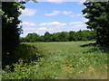 TM3761 : Field entrance off the Bridleway to Deadman's Lane by Geographer