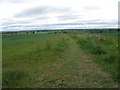  : View from Warboys Heath by Michael Trolove