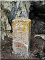 SX4157 : Mystery stone marker by Kate Jewell