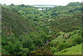 SX5691 : West Okement River valley below Meldon Reservoir by Graham Horn