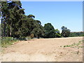 TM2343 : Footpath to Foxhall Road & the A12 Martlesham Bypass by Geographer