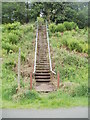 SO2601 : Steps up from a footpath and cycleway, Pontypool by Jaggery