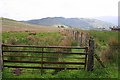 NY3822 : Gate to Field near Cockley Moor by Mick Garratt