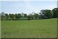 SP2164 : Field oaks east of Claverdon by Robin Stott