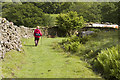 SD2095 : Moorland access track above Moor House by Tom Richardson