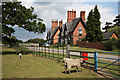 SK6471 : Meadow Cottages by Richard Croft