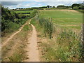 SX8748 : The South West Coast Path near Little Dartmouth by Philip Halling