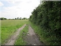 SJ4870 : The Longster Trail at Swinford Farm by Jeff Buck