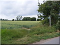 TM2763 : Footpath to Lampardbrook & Victoria Mill Road by Geographer