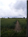 TM2763 : Footpath to Lampardbrook & Victoria Mill Road by Geographer