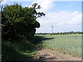 TM2762 : Footpath to Brook Lane & Lampardbrook by Geographer