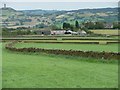 SE1012 : Drystone walls between Intake Lane and Turbid Lane by Christine Johnstone