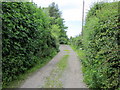 SJ4869 : Lane near Swinfordmill Farm by Jeff Buck