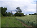 TM3872 : Footpath to the A144 by Geographer