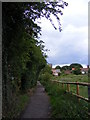 TM3877 : Swan Lane footpath to London Road by Geographer