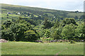 SX6673 : Dartmoor Forest: nearing Huccaby Farm by Martin Bodman