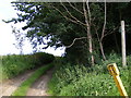 TM4465 : Footpath to Potter's Farm & Baker's Hill by Geographer