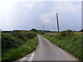 TM4365 : Moat Road, Theberton by Geographer