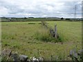 SE0834 : Drystone wall field boundary, south of Tewitt Lane. by Christine Johnstone