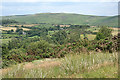 SX6572 : Dartmoor Forest: above Hexworthy by Martin Bodman