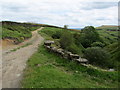 SD9642 : Pennine Way leading off Eller Hill by Chris Heaton