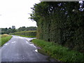 TM4363 : Abbey Lane, Leiston by Geographer