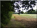 TM2653 : Footpath to Pound Lane by Geographer