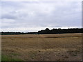 TM4262 : Footpath to Church Road, Knodishall by Geographer