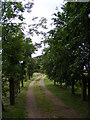 TM4365 : The entrance to Theberton Hall by Geographer