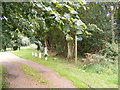 TM4365 : The entrance to Theberton Hall & footpath to Hawthorn Road by Geographer