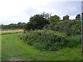 TM4361 : Footpath to Sandlings Walk Path by Geographer