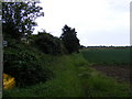 TM4059 : Footpath to the A1094 Aldeburgh Road by Geographer