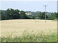 TL4301 : Telegraph wires near Epping by Malc McDonald