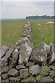 SK1764 : Drystone Wall Junction by Mick Garratt