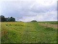 TM2450 : Footpath to Hasketon Road & Mill Lane by Geographer